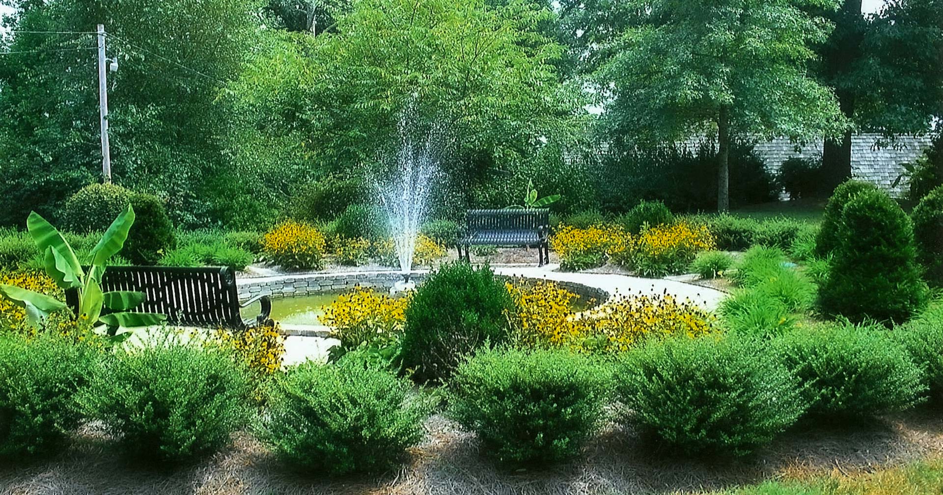 landscaping image