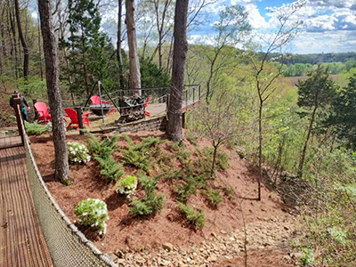 Wooded Landscaping