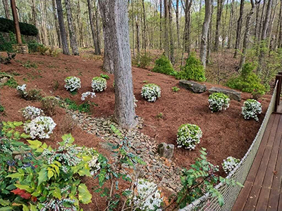 Wooded Landscaping